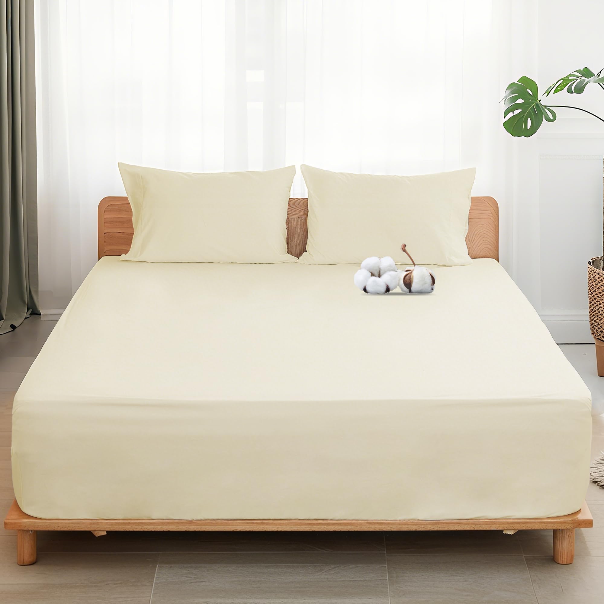 Sylvanora 100% Egyptian Cotton Fitted Sheet - 40cm Deep Pocket with 4 Elastic Corner Straps - Breathable & Comfortable Super King Bed Sheet (183x200cm) - Luxury Hotel Quality (Cream, Super King) โ image 1