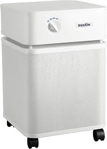 Austin Air HealthMate air purifier