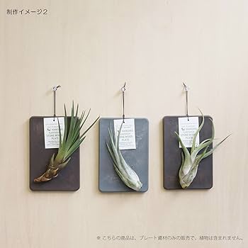 アントニス　カーデュー　antonis cardew ウッドプレート　2枚 アントニス カーデュー antonis cardew ウッドプレート 2枚