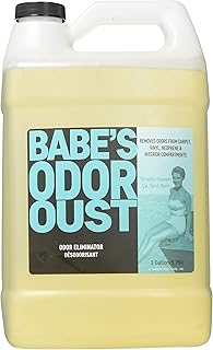 Babe’s Odor Oust – Marine Odor Eliminator Spray for Boats, Carpets & Upholstery – Neutralizes Smells, Repels Dirt & Leaves Fresh Scent - 1 Gallon
