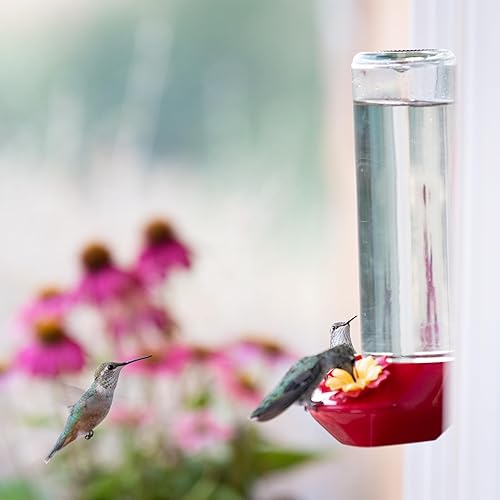 Miniatura 12 de Perky-Pet 455-2 - Comedero para colibríes con ventana de vidrio 445-2, rojo, 14 onzas