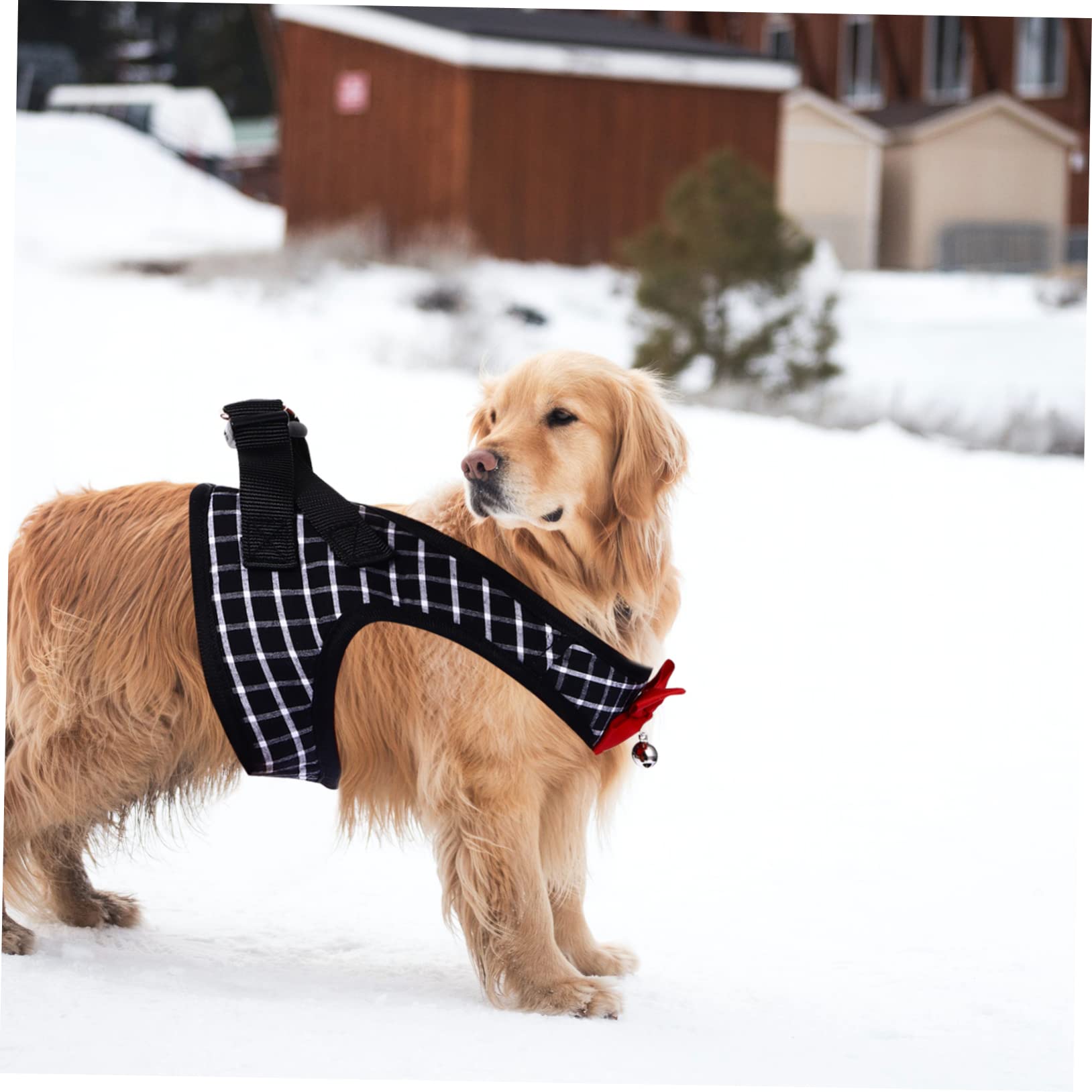 Housoutil 3pezzi Pettorina Per Cani Piccoli Con e Guinzaglio Vest e Traction Rope Comoda e Resistente Adatta Per Passeggiate e Attività All Aperto