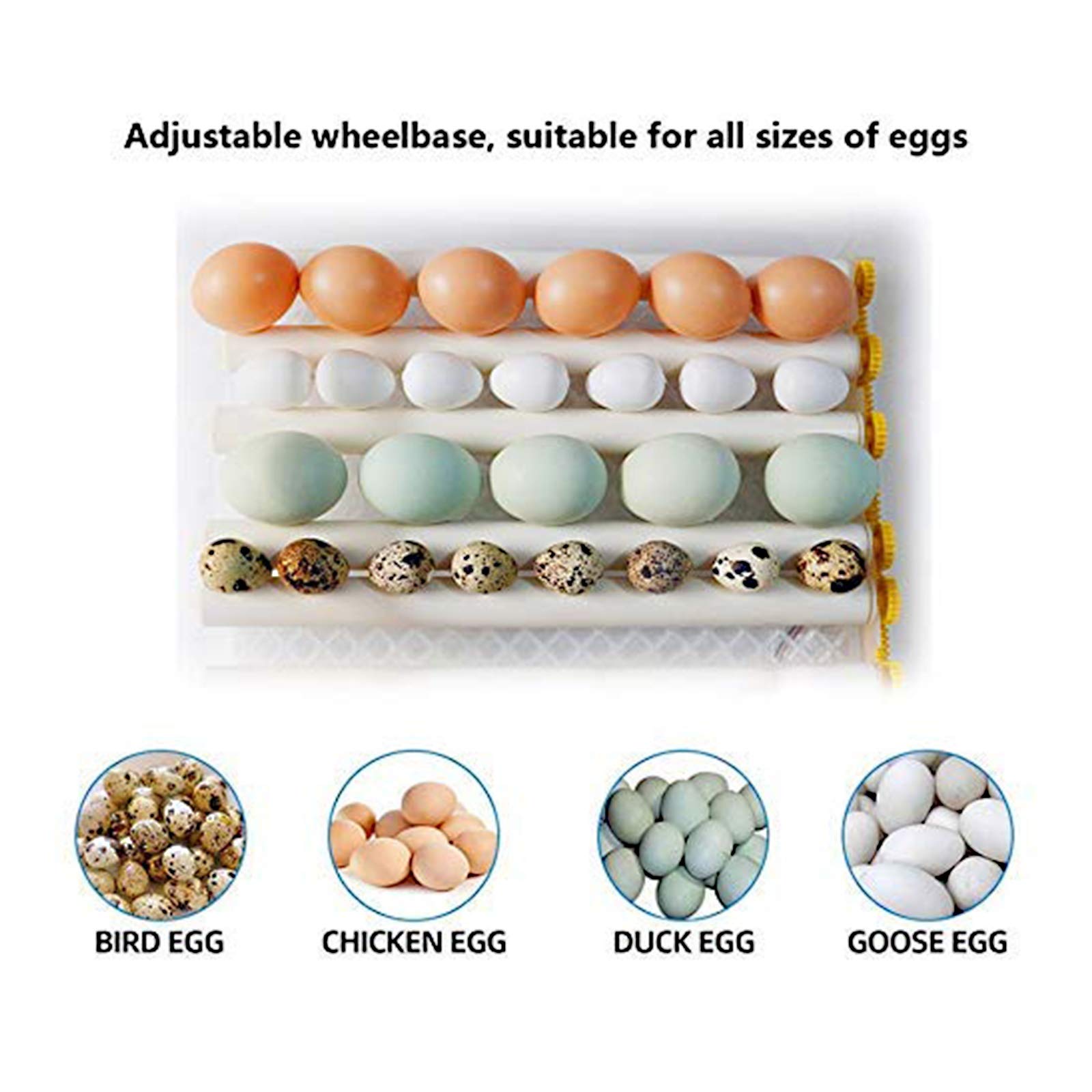 Incubatrice con girauova Automatico Controllo della Temperatura e dell'umidità della schiusa di Pollo Digitale con Display per Piccione D'Oca D'Anatra (Dimensioni : 9egg)