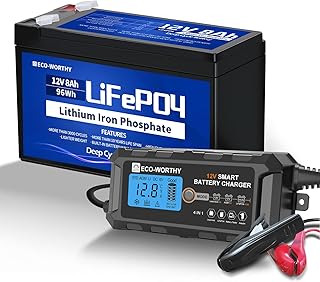 ECO-WORTHY 12V 8AH LiFePO4 Lithium Battery and 12V 5Amp Automatic Smart Battery Charger and Maintainer, Built-in BMS, for UPS Backup Battery, Fish Finder, Kids Scooters, Alarm System