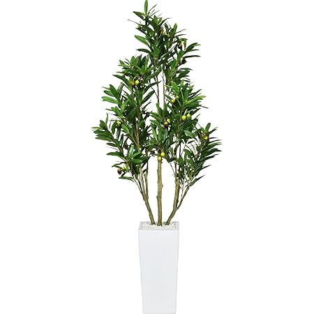 Amazon Doris 人工観葉植物 光触媒 簡単世話いらず フェイクグリーン インテリア 水やり不要 果実付 オリーブフルーツ 人工観葉植物 オンライン通販