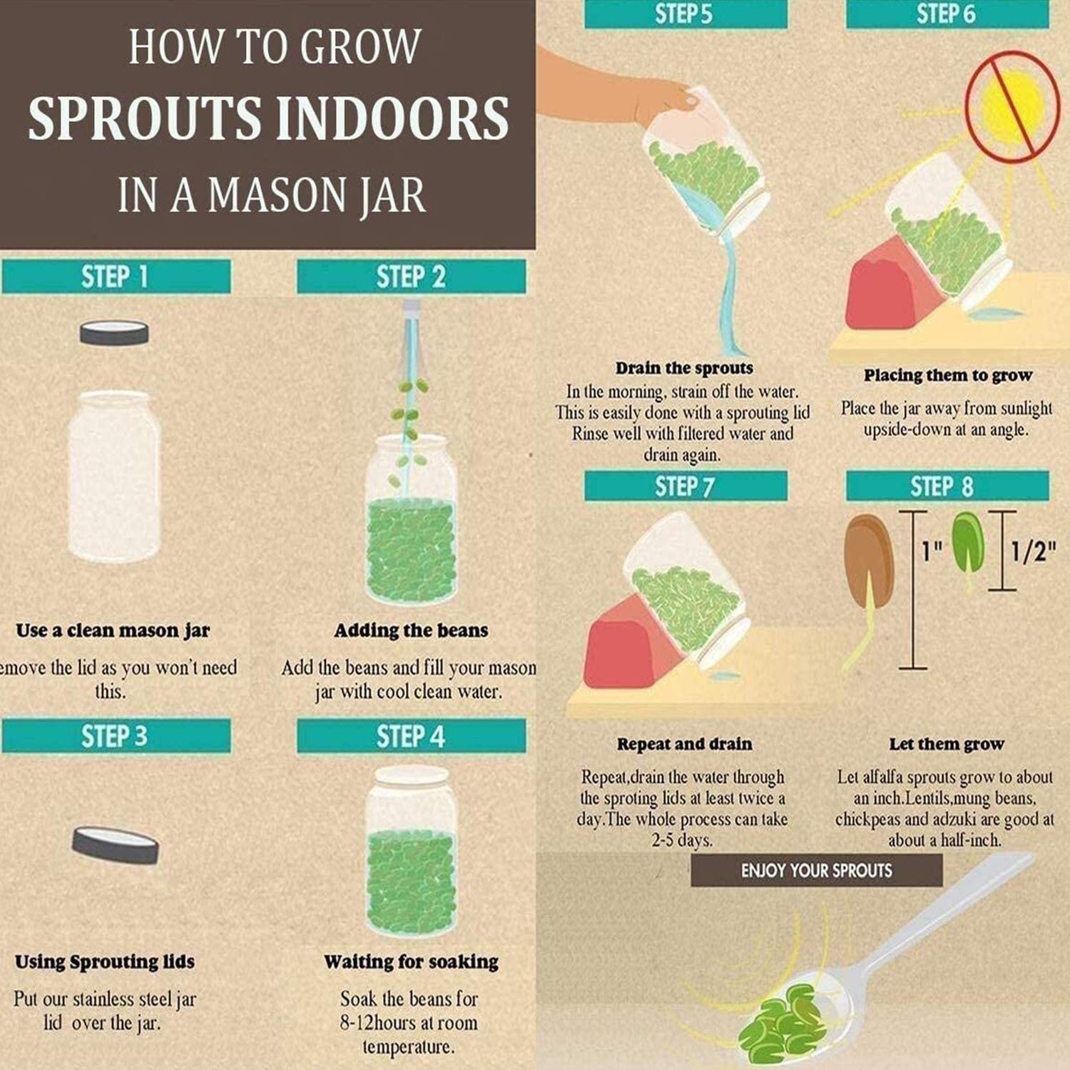 Alvinlite Sprouting Lids, 2PCS Sprouting Kit 3.38