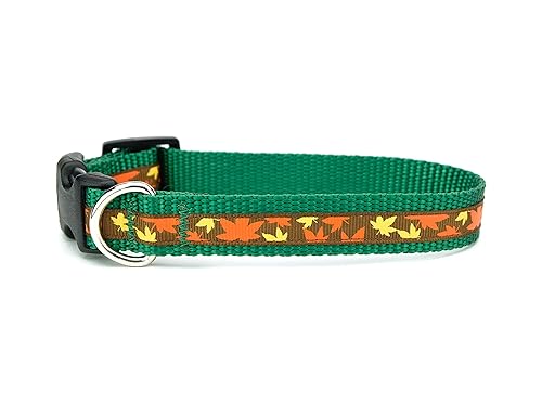 puppy collars amazon