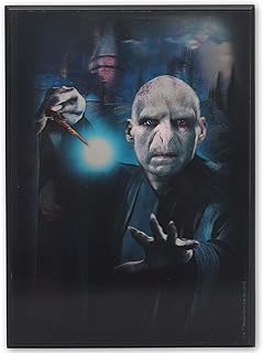 Open Road Brands Harry Potter 3D Wood Wall Decor - Vintage Harry Potter Picture Featuring Both Harry and Lord Voldemort
