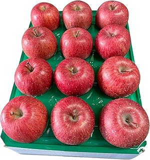 【訳あり】 旬の美味しい りんご 約3kg 青森 産 【おまかせ1品種】青森 五所川原