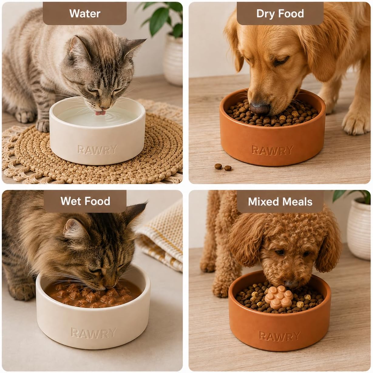 Rawry Ceramic Cat Food Bowl, Food & Water Bowl for Cats & Dogs, 12 oz, Bone image 2