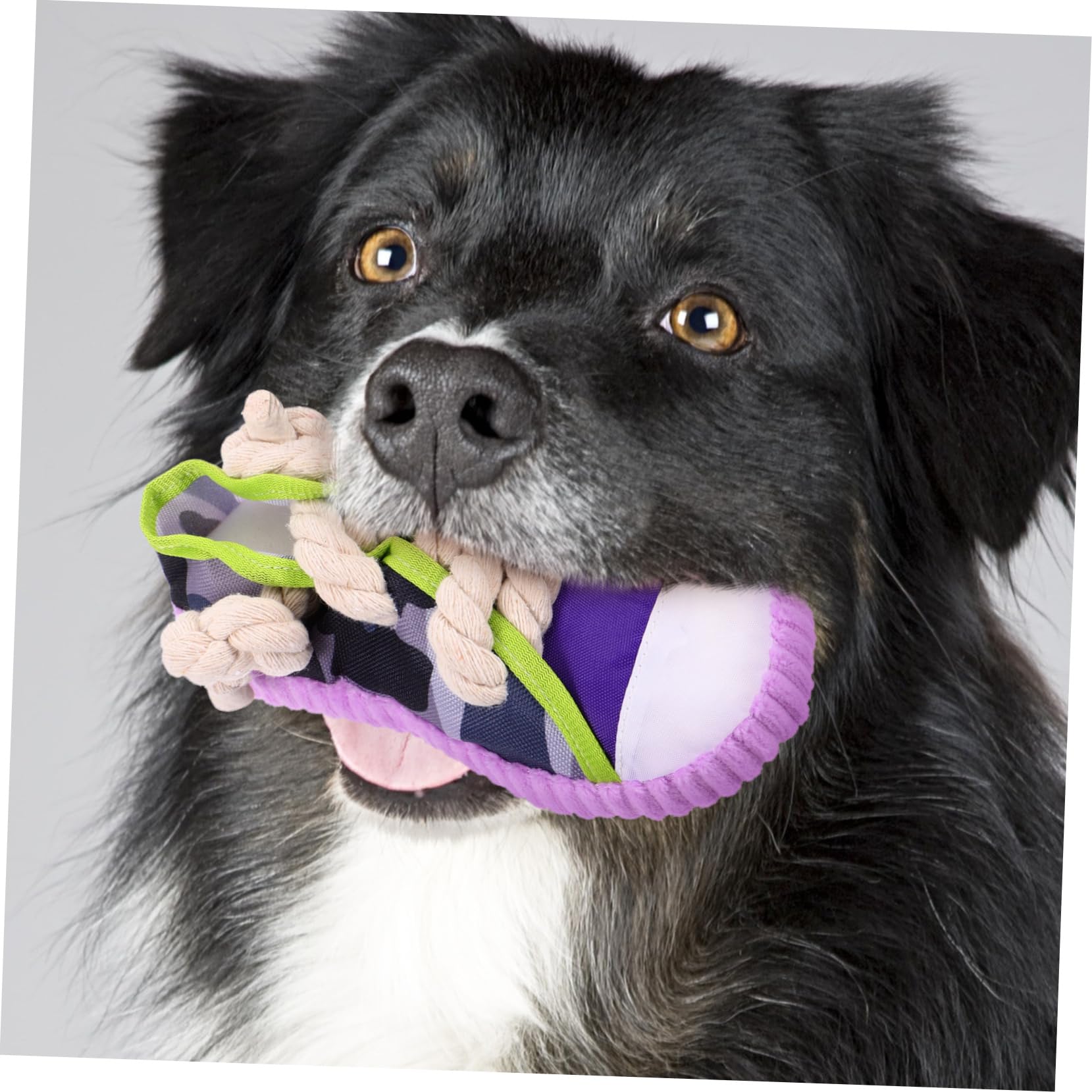 Kisangel Juguete para Perros y Cachorros en Forma de Zapato Cuerda de Algodón Resistente al Mordisco y Diseño Interactivo para Limpieza Dental