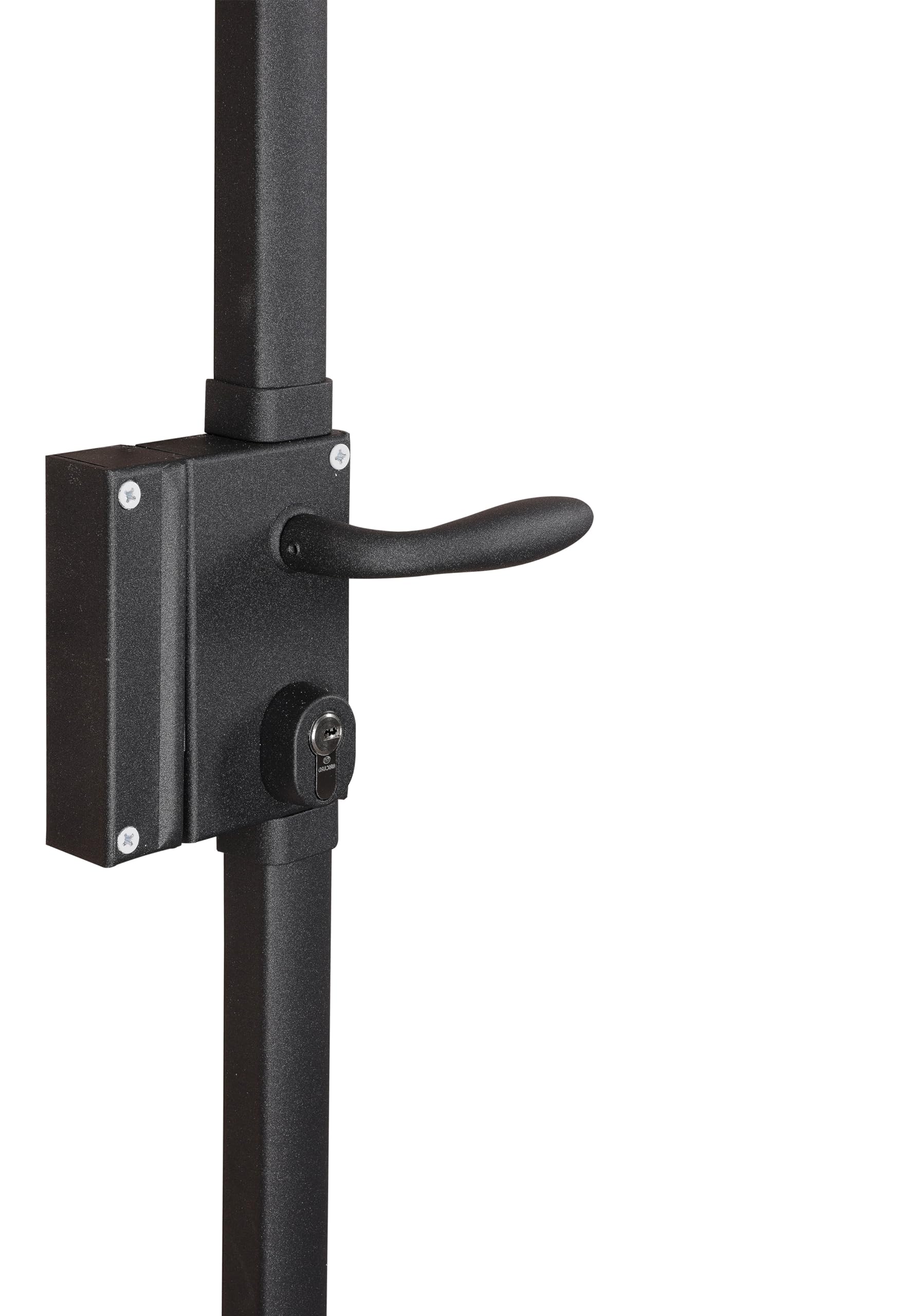 BRICARD Serrure en applique multipoints Astral 74726C, débrayable, anthracite, sens gauche, fournie avec 5 clés
