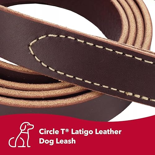 Miniatura 2 de Coastal Pet Circle T Latigo - Correa de piel para perro, cómoda correa para entrenamiento - Correa resistente a la intemperie para cachorros y