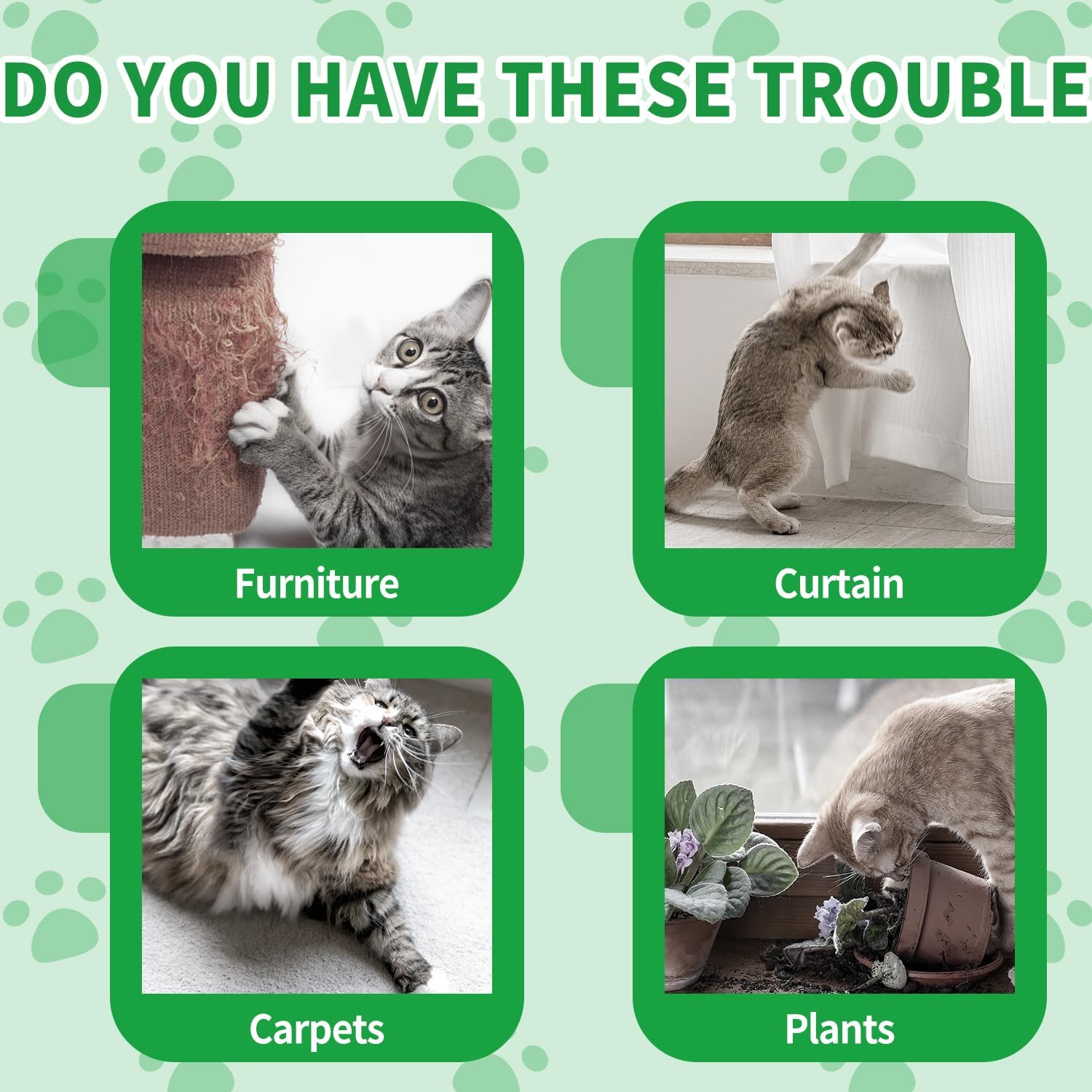 Ponal Cat Deterrent Outdoor, Natural Peppermint Oil Cat Repellent Outdoor Indoor, Mulch & Flower Permanently Against Scratch and Chew, Keep Cats Off Lawn, Yard, Garden, Keep Cats Away, 10 Pack, Green