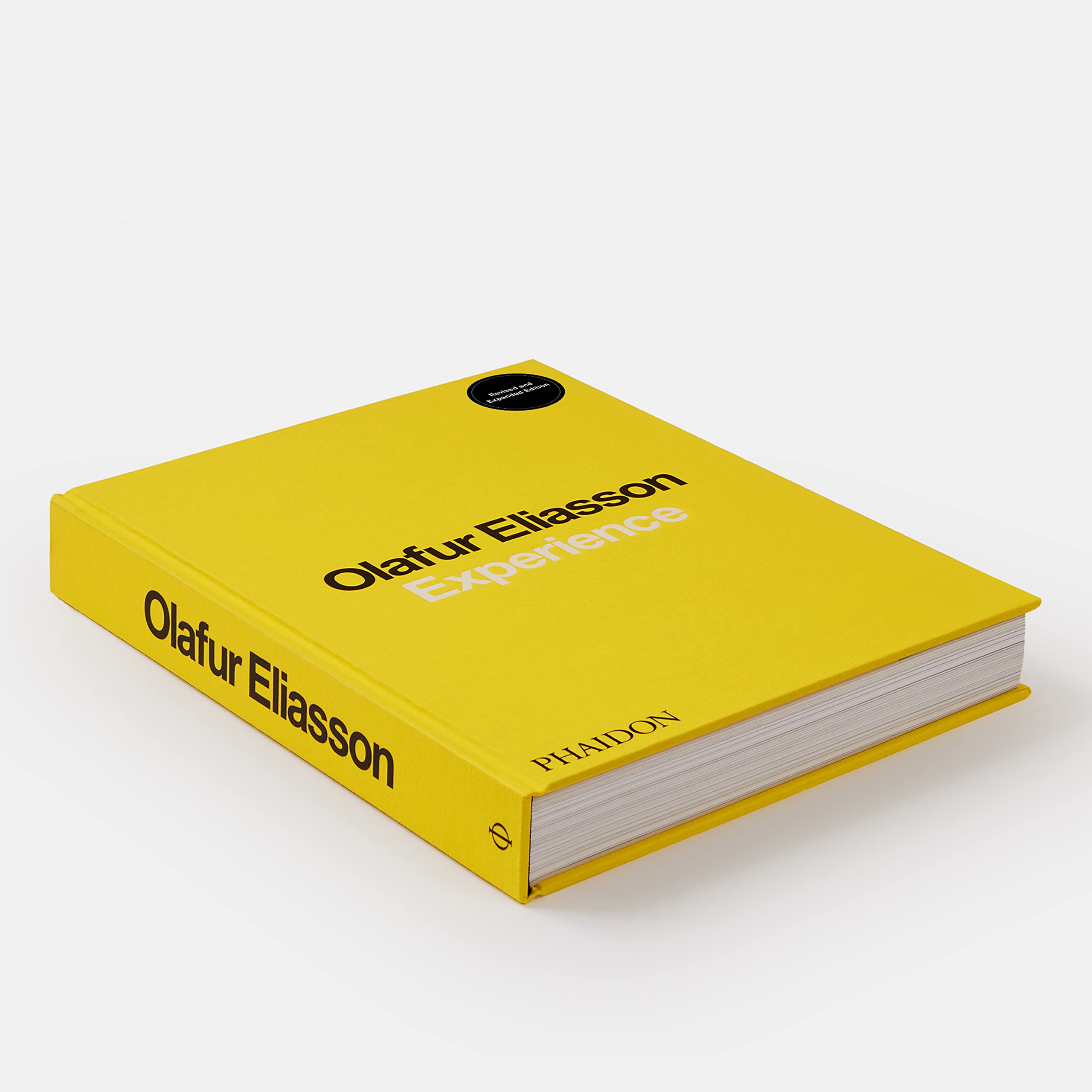 Olafur Eliasson. Experience