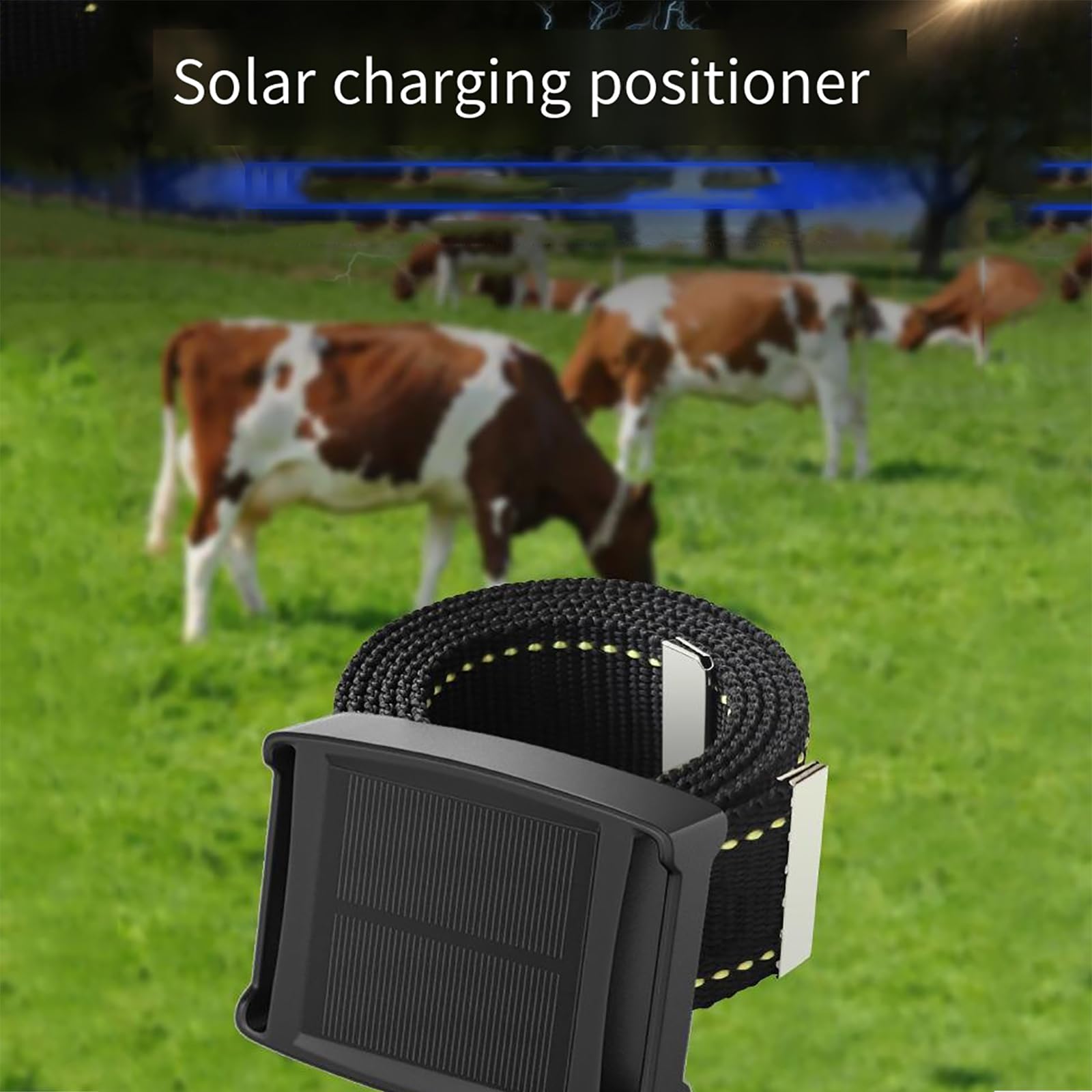 Rastreador GPS Para Animales, Localizador Solar Animales, Distancia: 2-10 M/posicionamiento Tiempo Real/impermeable/2 Métodos Carga/2 Métodos Alarma/energía Solar, Utilizado Para Rastrear Ganado
