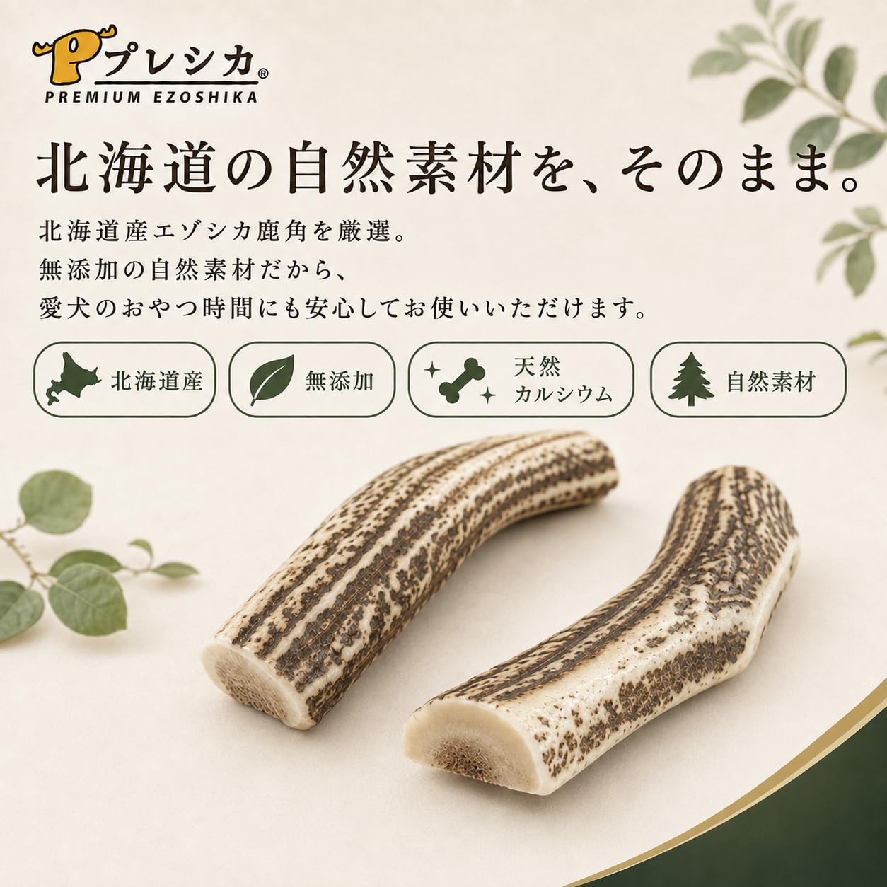Amazon | プレシカ 北海道産エゾシカ 鹿角 半割り LLサイズ 2本 犬用