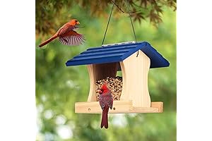 Alaskan Western Red Cedar Ranch Bird House Kit for Kids