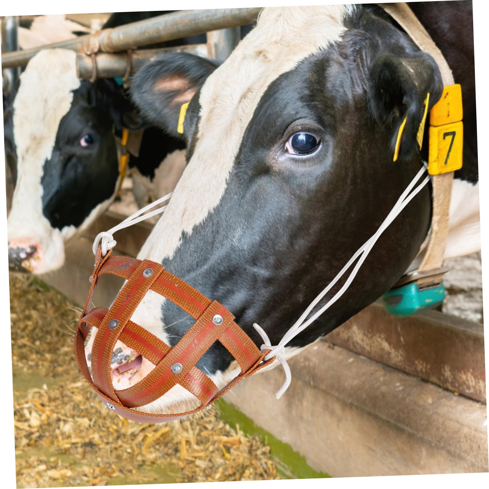 Housoutil Muselière De Pâturage Pour Chevaux Couvre-bouche Respirant Léger Protège Les Morsures Facile à Nettoyer Mettre