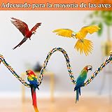 Ver la foto 6