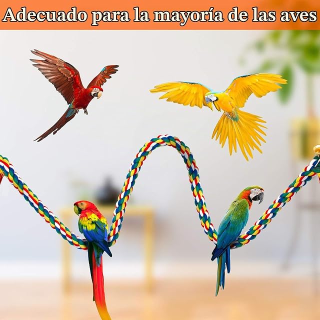 Foto 6 de 7 de Ledoo Cuerda de escalada para loro, pájaro, algodón, columpio, loro, juguete, pájaro, perca