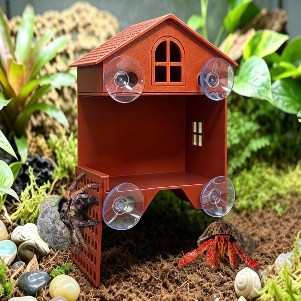 Hermit Crab Climbing Wall & Foraging Cave, Multi-Functional Hermit Crab Shelter with Non-Slip Ladder, Easy Install Suction Cup Hermit Crab Accessories for Terrarium Enrichment
