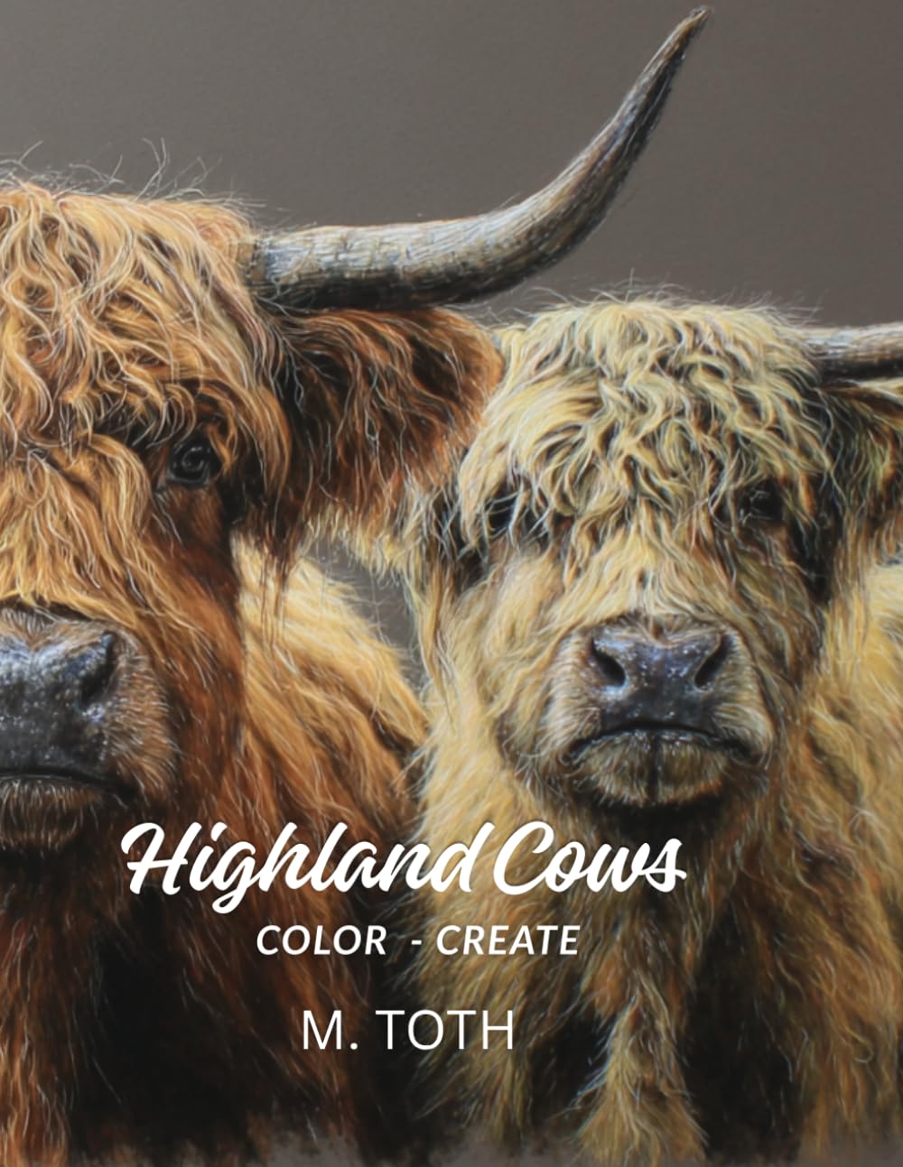 Highland Cows: Color - Create