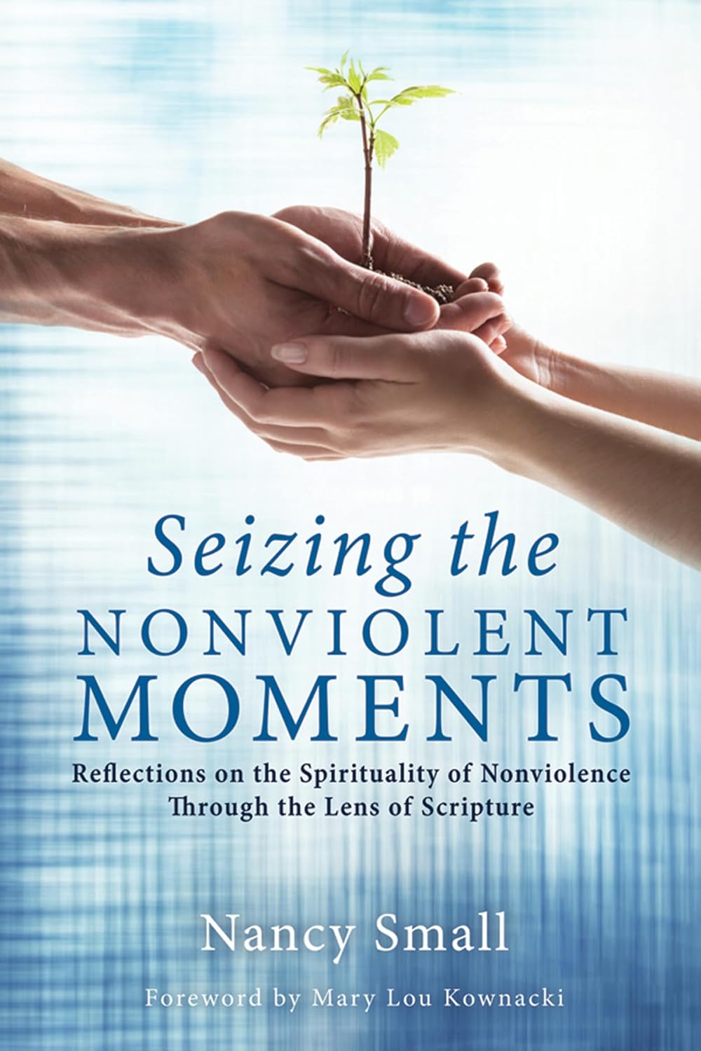 Seizing the Nonviolent Moments: Reflections on the Spirituality of Nonviolence Through Scripture