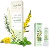 Herbal Diffuser Pen with Extracts of MulleinThymeMint 600 Uses and Nasal Stick Pure Mullein & Mint Extract丨 Boost Focus, Reduce Fatigue & Stuffy Noses Instant Refreshment