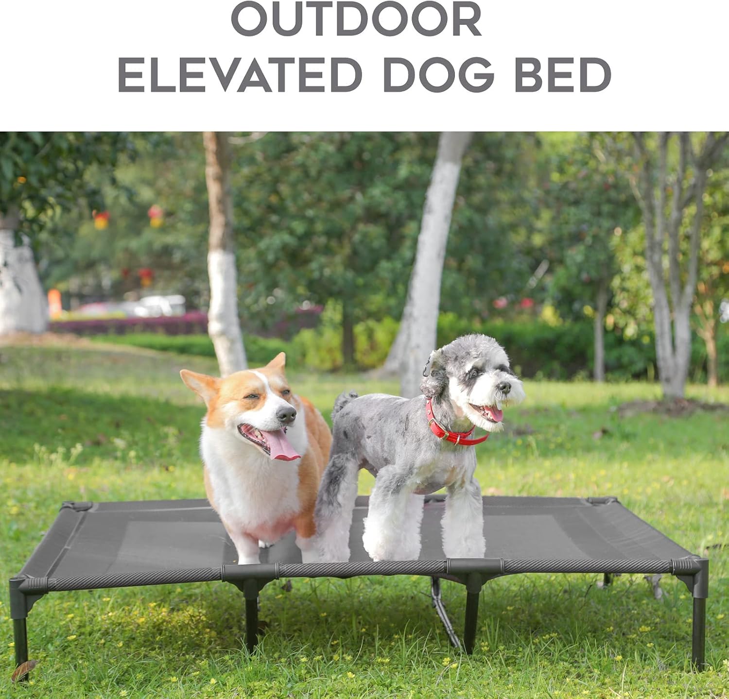 SUDDUS Elevated Dog beds Waterproof Outdoor, Portable Raised Dog Bed, Dog Bed Off The Floor, Dog Bed Easy Clean Indoor or Outdoor Use, Multiple Sizes : Pet Supplies