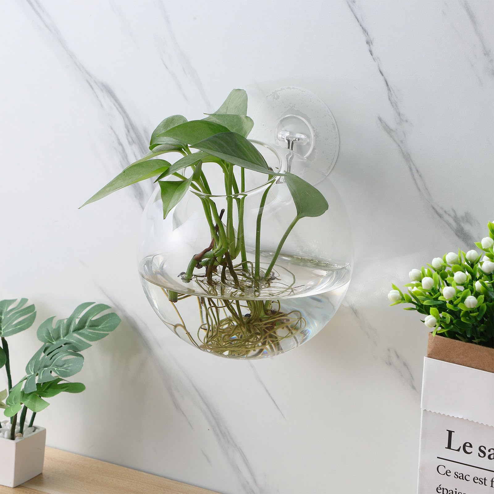 SHINEOFI Jardinières Murales en Verre Transparent Lot de 4 Vases Muraux pour Boutures Station de Propagation Suspendue pour Plantes d'Intérieur Décoration Salon Cuisine