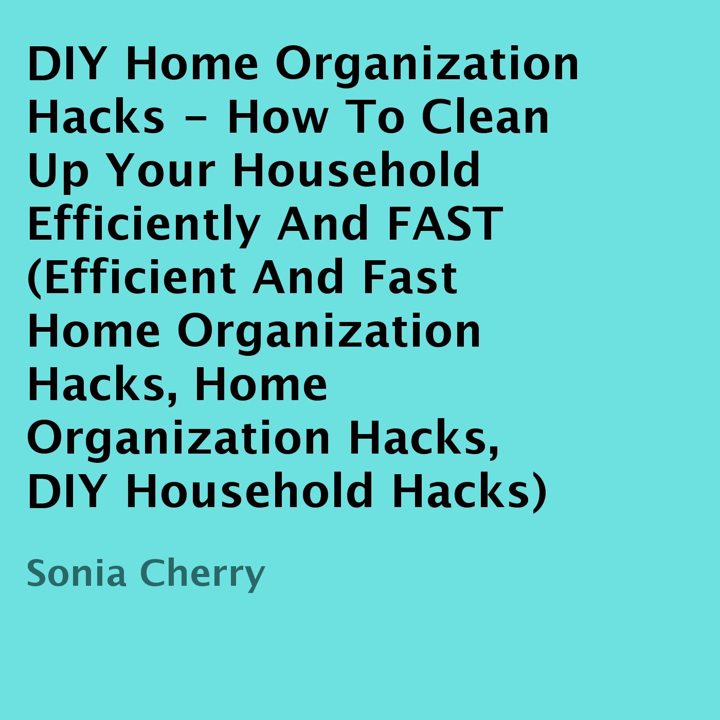 DIY Home Organization Hacks: How to Clean up Your Household Efficiently and FAST