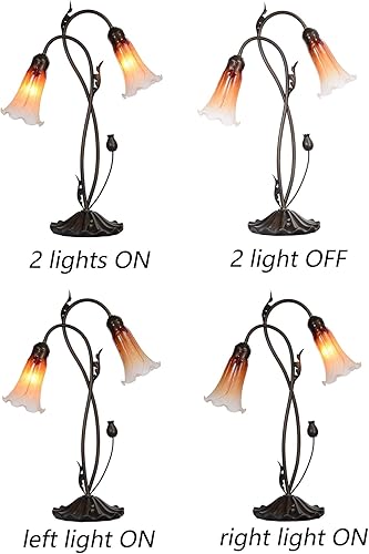 Miniatura 3 de Bieye L10698 Lámpara de mesa de cristal soplado con flores de lirio para decoración de sala de estar y dormitorio (2 luces, naranja)