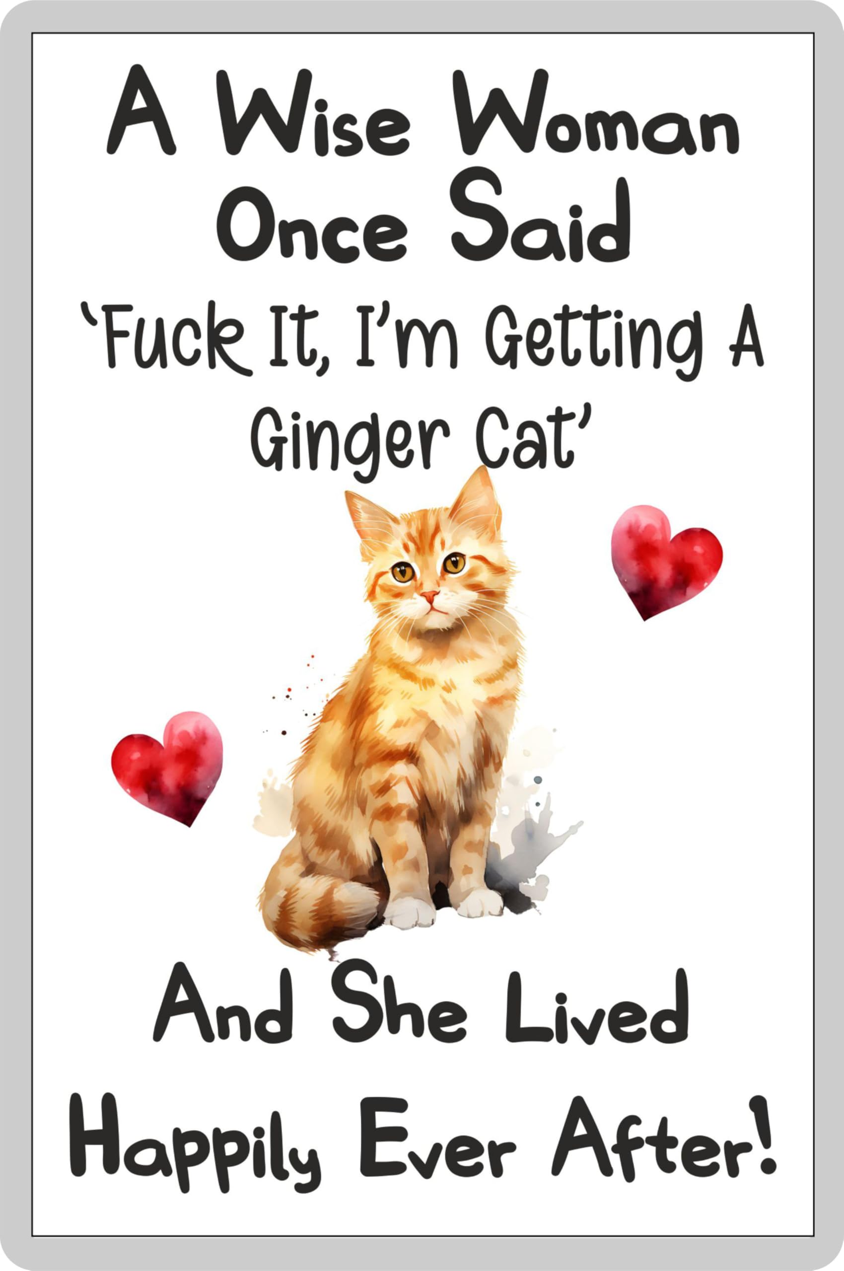Decalarama Cat Fridge Magnet Gift – A Wise Woman Once Said Fuck It I'm Getting A Ginger Cat – Fun Rude Cute Pet Novelty Present