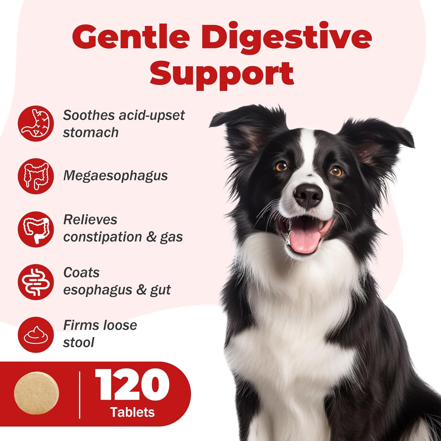 Slippery Elm for Dogs – Megaesophagus Dog Aid – Vet-Formulated Organic Slippery Elm Bark – Relief for Acid Reflux, Throwing Up, Constant Upset Stomach – Digestive Aid for Dogs and Cats – 120 Tablets