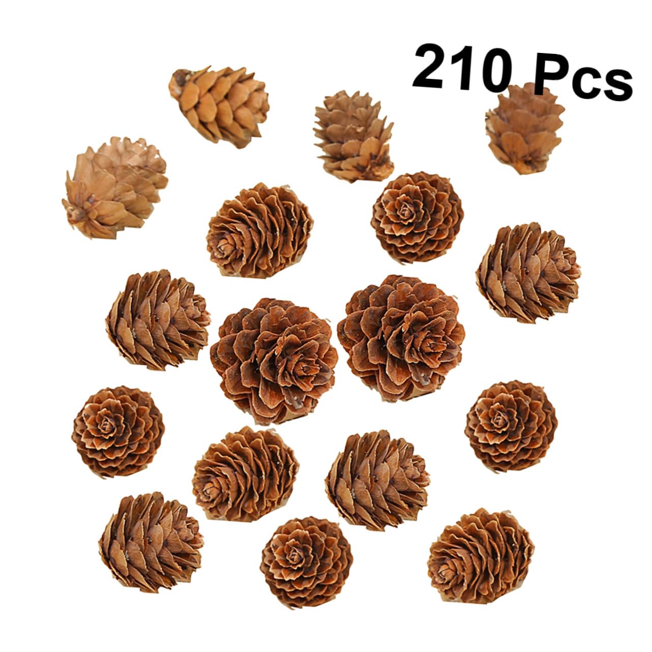 210 Piezas Mini Piñas Naturales de Pino Decoración Rústica de Hogar Manualidades y Adornos Navideños de Acción de Gracias