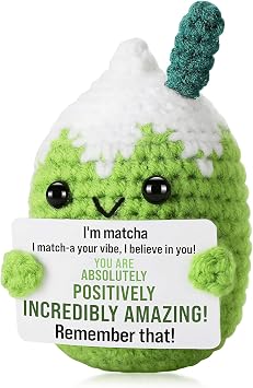 Emotional Support Crochet Matcha   Handmade Positive Energy Gift with Card, Thank You Teacher Present, Birthday Gift for Women & Men, Home or Office Desk Decoration