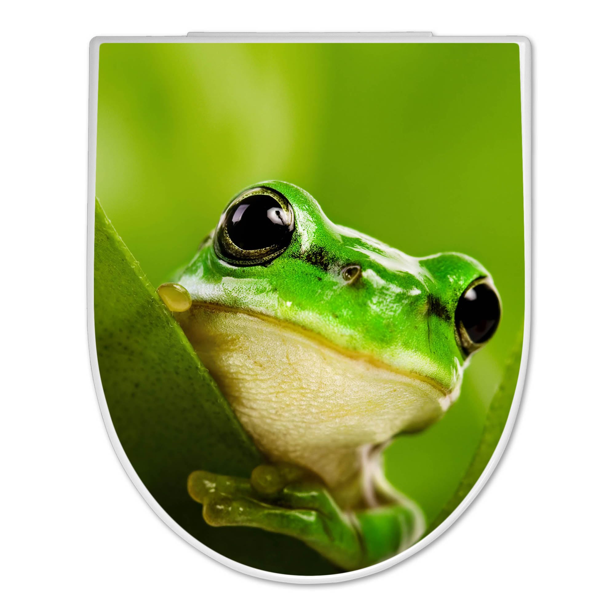banjado WC Sitz mit Absenkautomatik D Form - Toilettendeckel mit Absenkautomatik D Form - Klodeckel Softclose - stabile Klobrille - Toilettensitz Weiß - Motiv Frosch