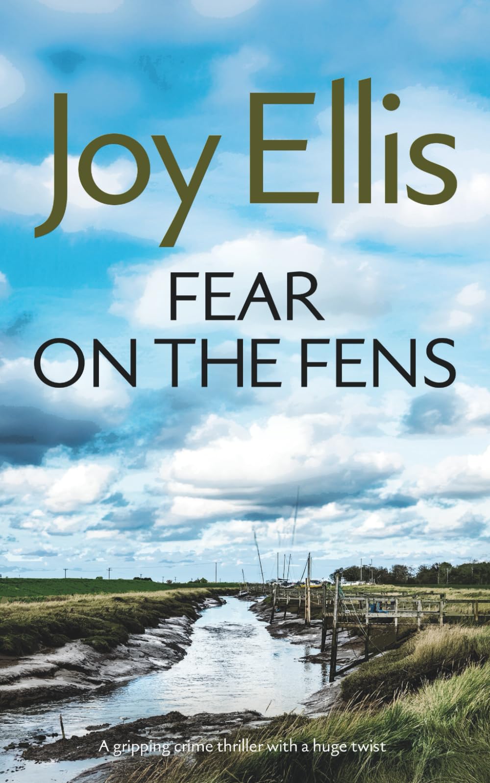 FEAR ON THE FENS a gripping crime thriller with a huge twist (Detective Nikki Galena Mysteries)