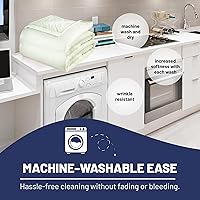 Vista 6 de Thermee Manta térmica de micro franela ultra terciopelo, manta eléctrica de 10 ajustes, tamaño matrimonial, manta de calefacción programable, manta