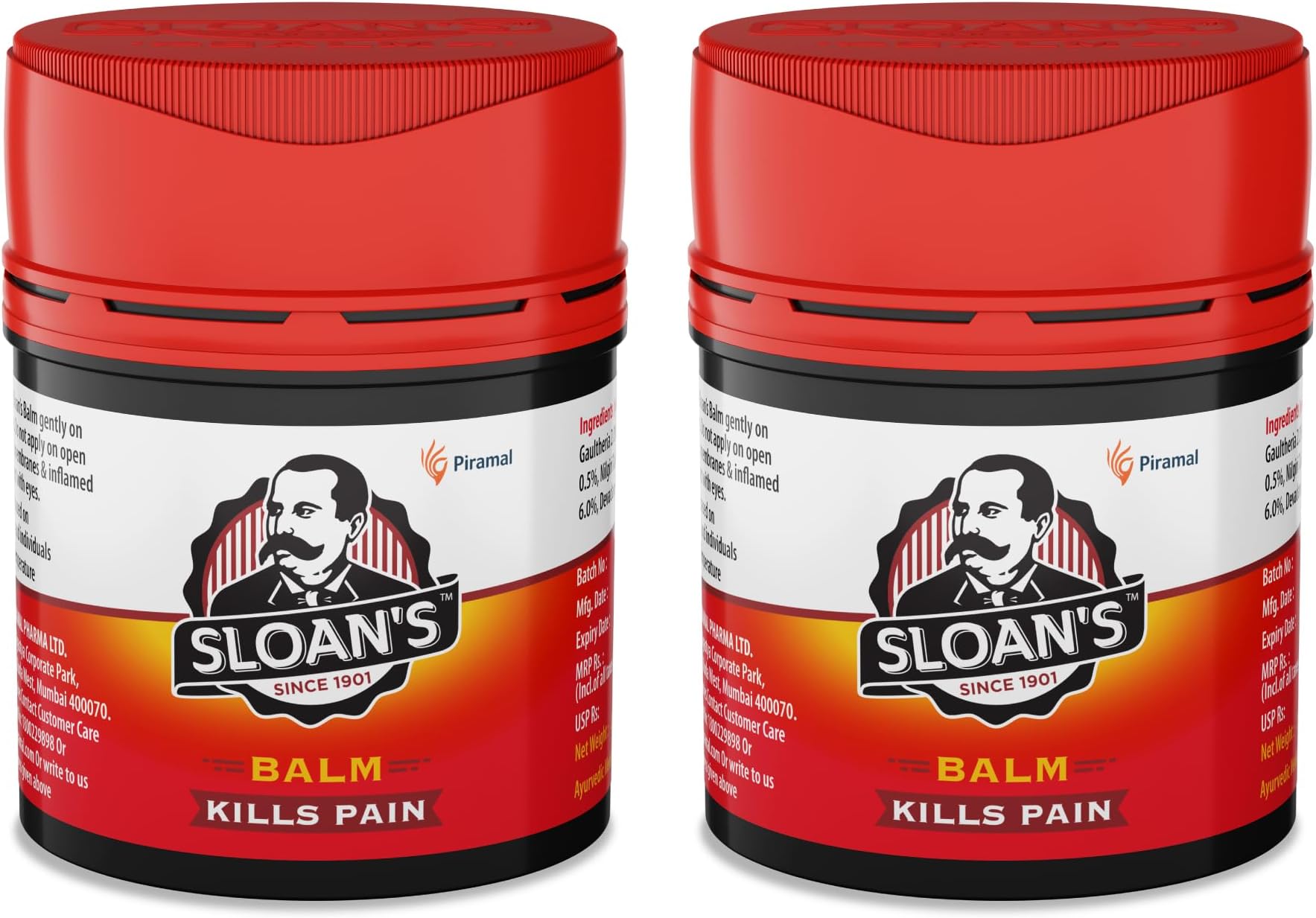 Sloan's Balm | Kills Severe Pain | Power of Ayurveda with 5 Herbal Oils | Unique Heat Action with Capsicum Extract 20gm x Pack of 2