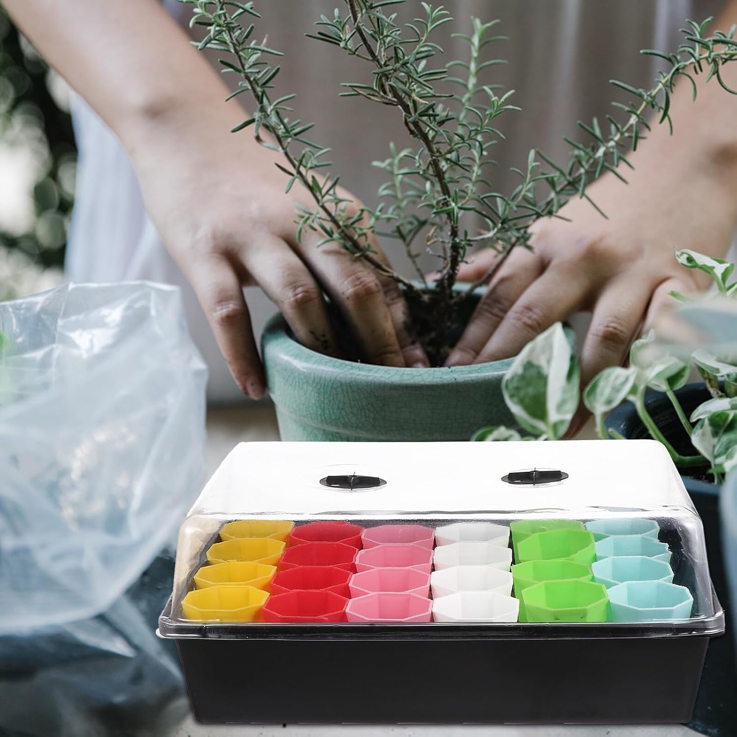 Seed Starter Tray Kit with Propagation Trays and Dome for Indoor Vegetable Germination 24 Macaron Cups Rolling Stand for Controlled Water and Airflow