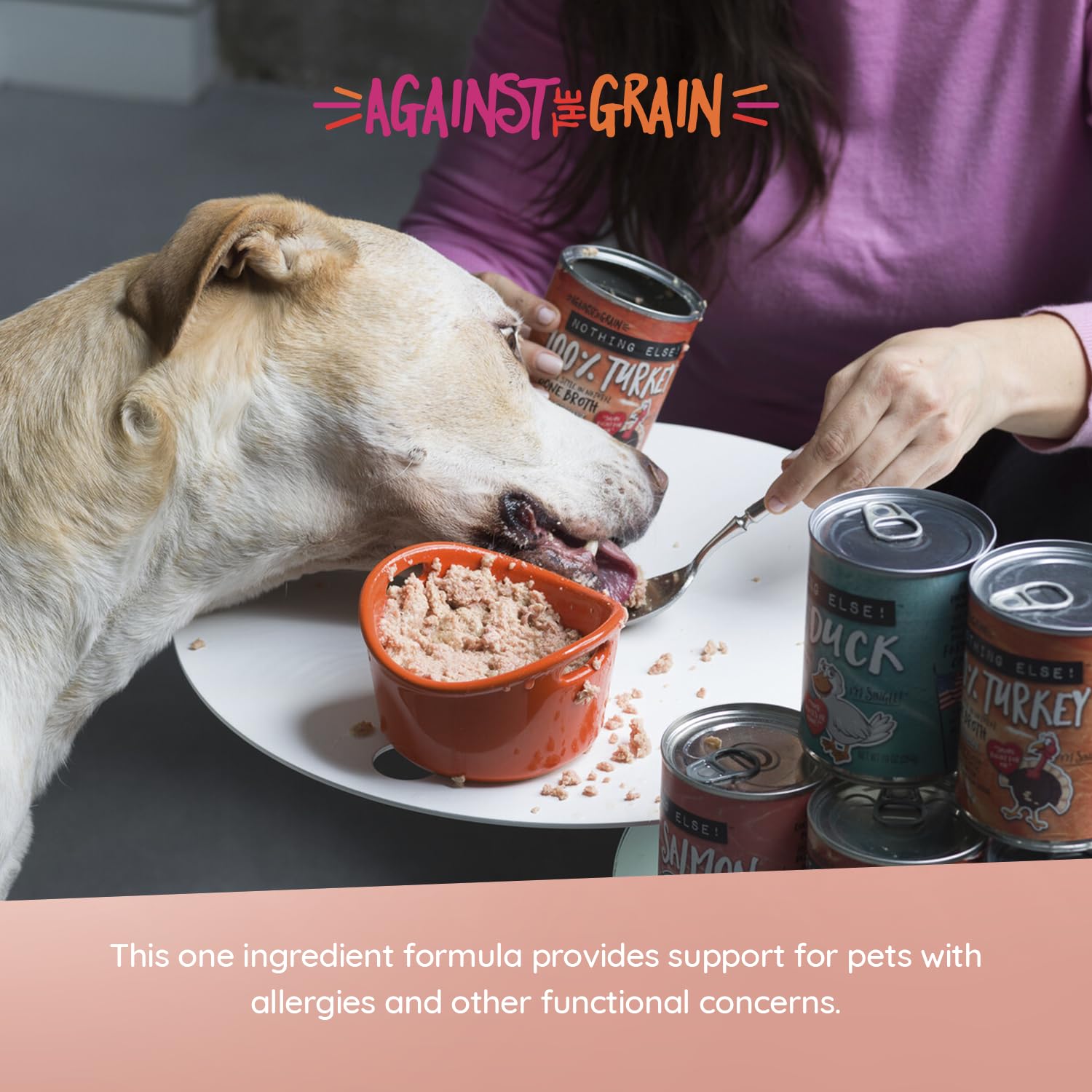 buy royal canin renal dog food Royal Canin Renal Wet Dog Food (Veterinary) 410G  One Petrix