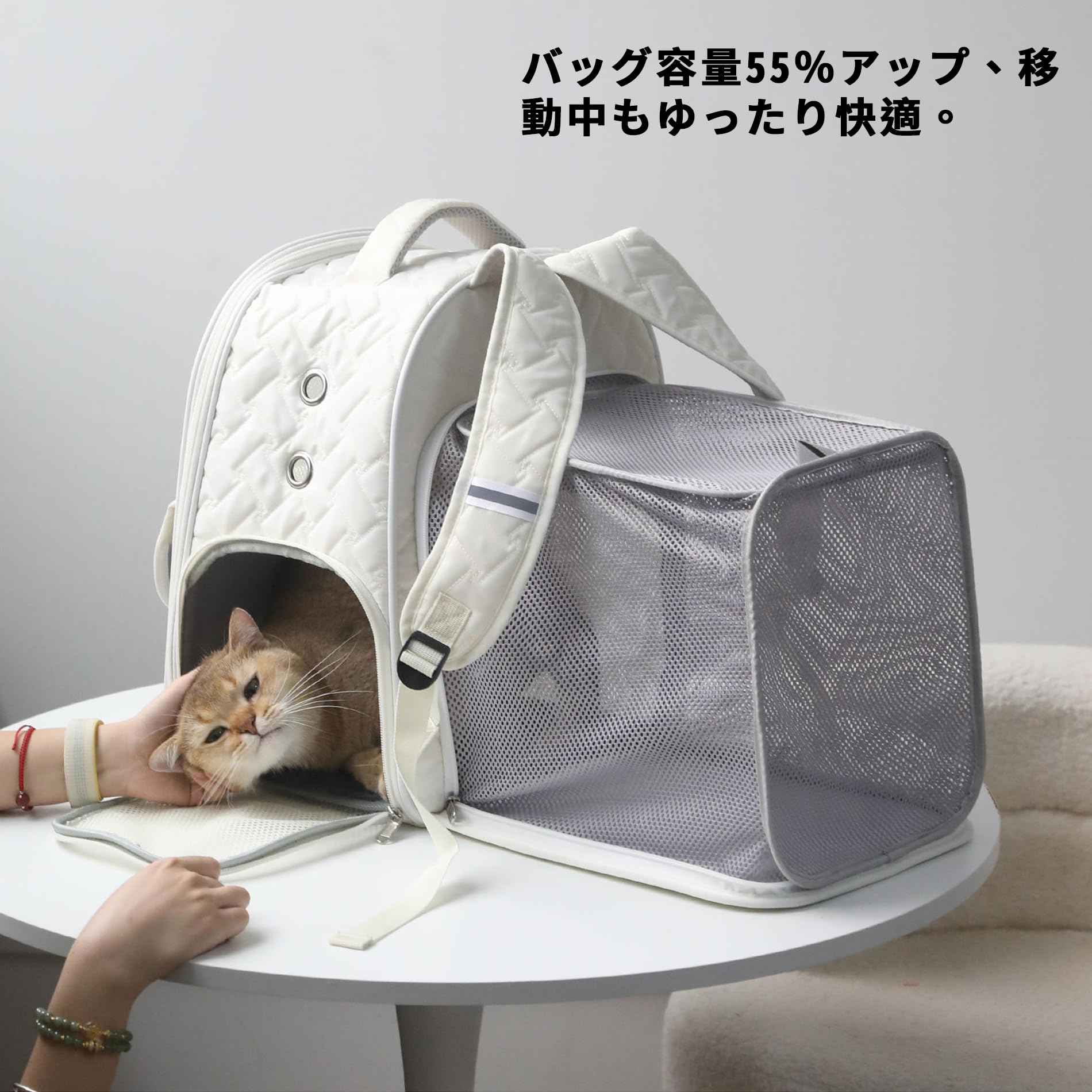 Amazon.co.jp: 猫用ペットキャリー リュック型 大容量 拡張可能 通気性