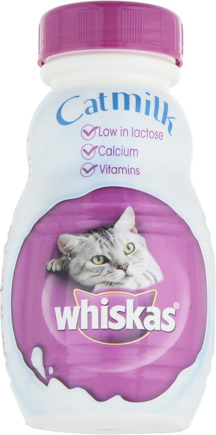 cat milk amazon