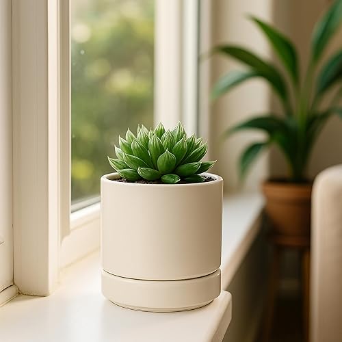 Miniatura 3 de D'vine Dev Maceta de cerámica de 4.7 pulgadas con orificio de drenaje y platillo, maceta redonda cilíndrica para interiores, avena, 94-O-B-8