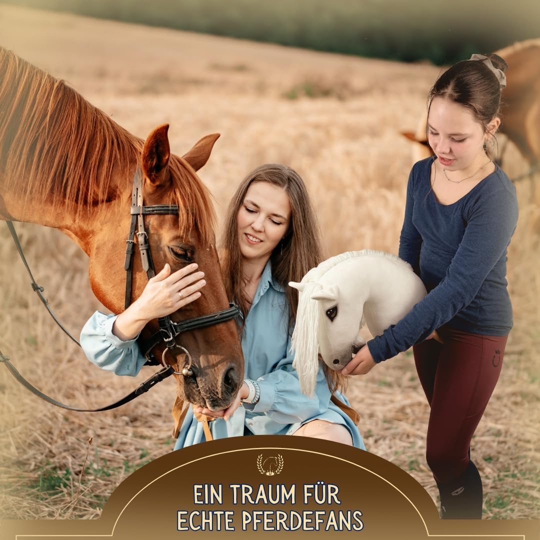 Hobby Horse Pferd -A3- Premium Steckenpferd mit Zubehör für Hobby Horsing: Pferde Spielzeug Set mit Stockpferd, Trense, Turnierschleife & Stall als Pferde Mädchen Geschenk - Toffee