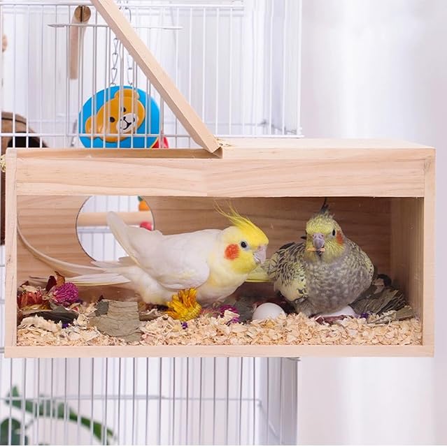 Foto 7 de 7 de Nizirioo Caja de nido para periquitos, caja transparente para cría de pájaros, periquitos