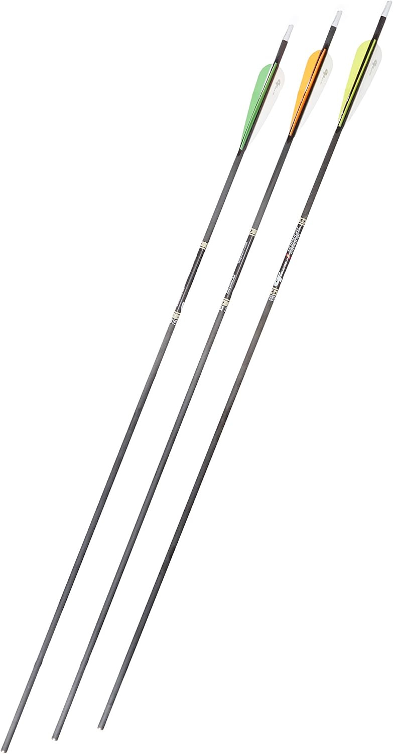 Gold Tip Ultralight Entrada 300 Arrows with 4-Inch Vanes (72 Count)