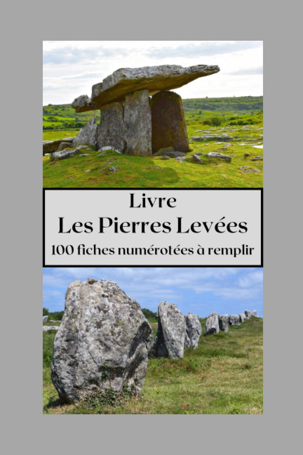 Buy livre Les Pierres Levées à remplir,100 fiches numérotées